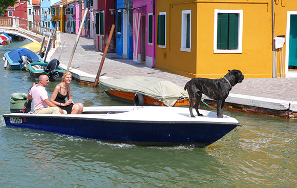 Walking The Dog, Burano, Veneto