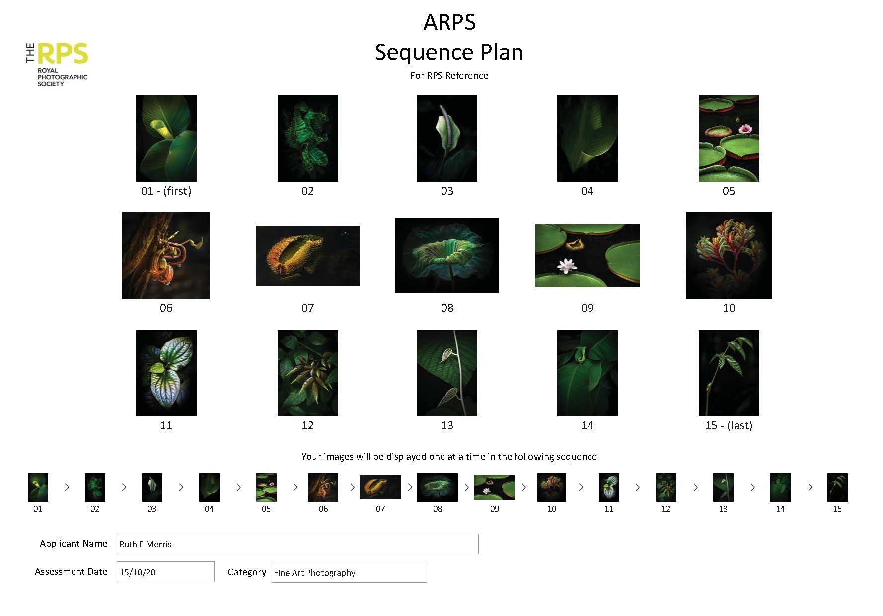 Sequence Plan