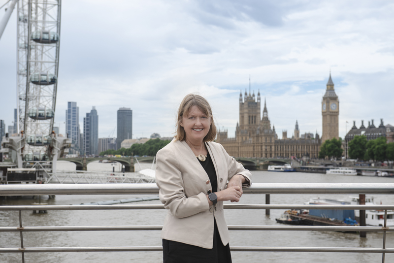 Sarah Gibson MP By Zula Rabikowska