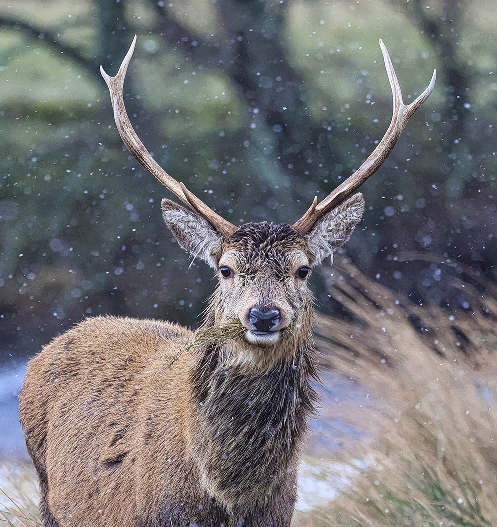The Day The Weather Changed