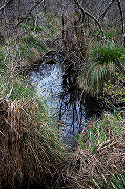 Gerry Phillipson ARPS 09