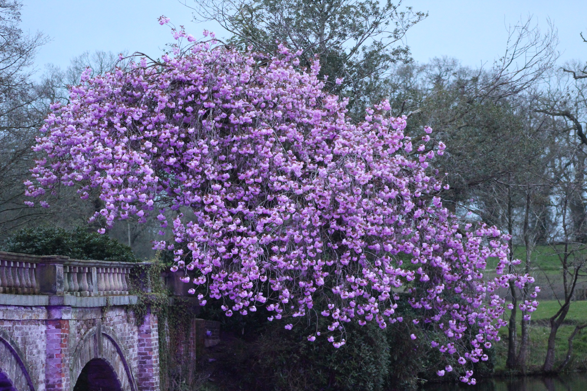 6820124 Louise Wood Img 6467