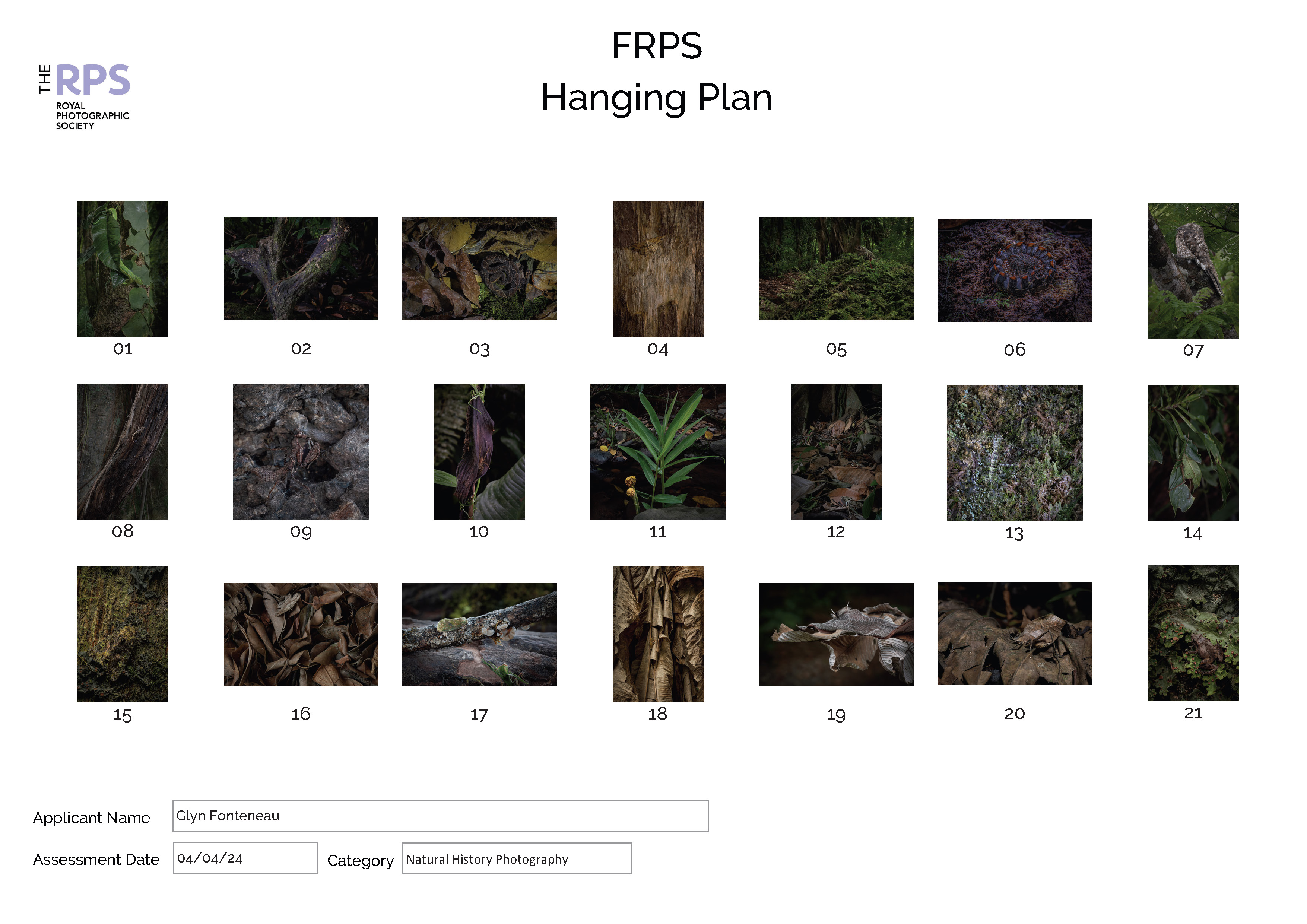 Glyn Presentation Layout