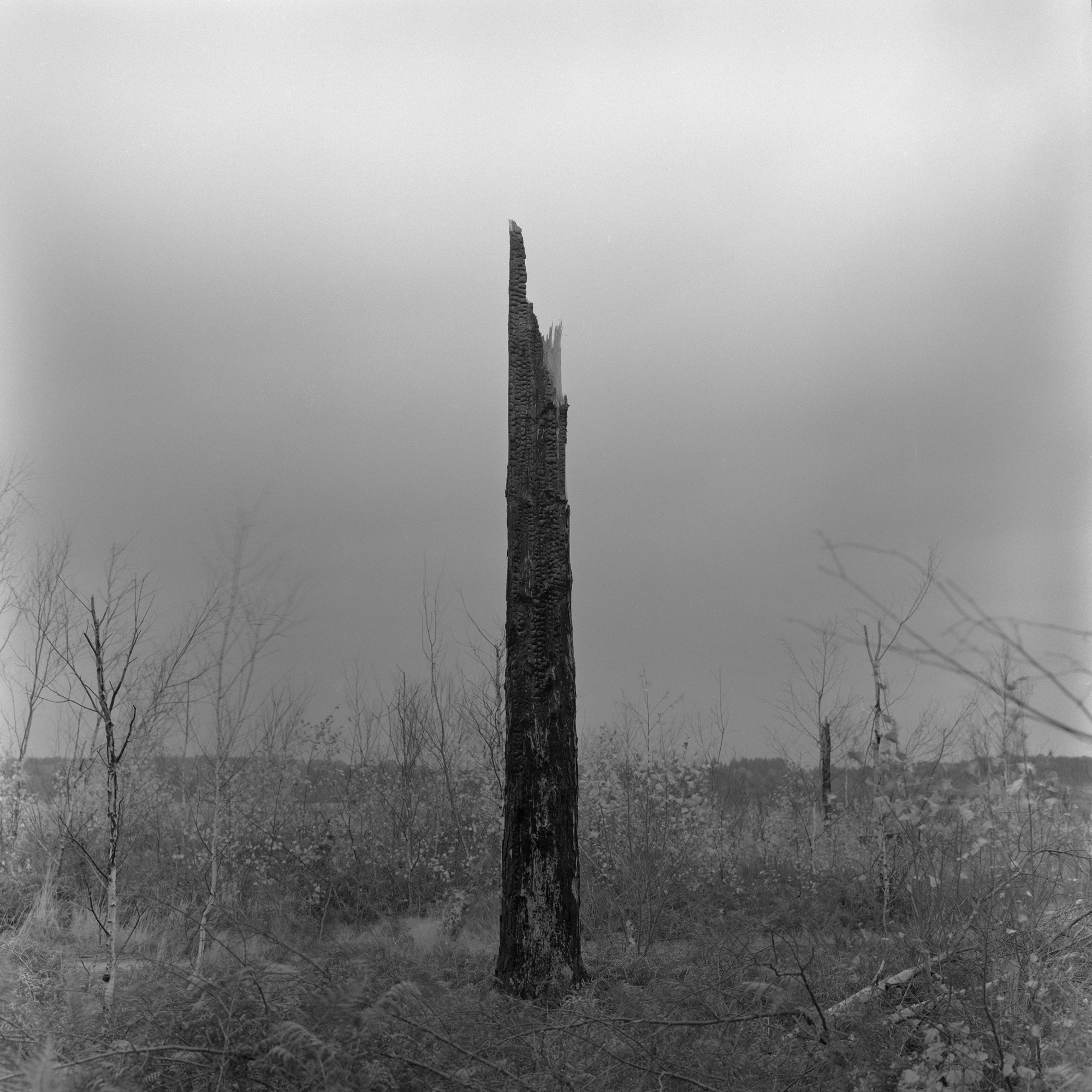 5573118 Corinne Whitehouse Corinne Whitehouse In The Line Of Fire 3