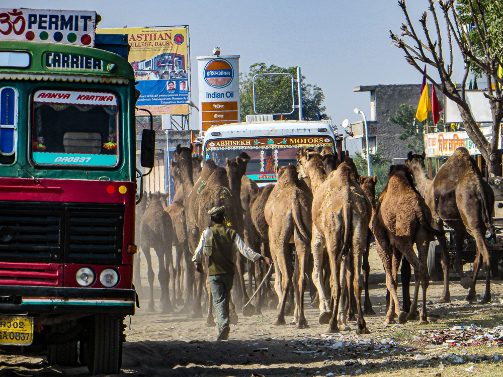 Busy With Traffic Jaipur, India by Jane Tearle