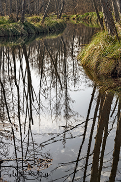 Gerry Phillipson ARPS 10