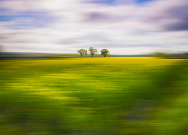 Rachel, Ringwood School