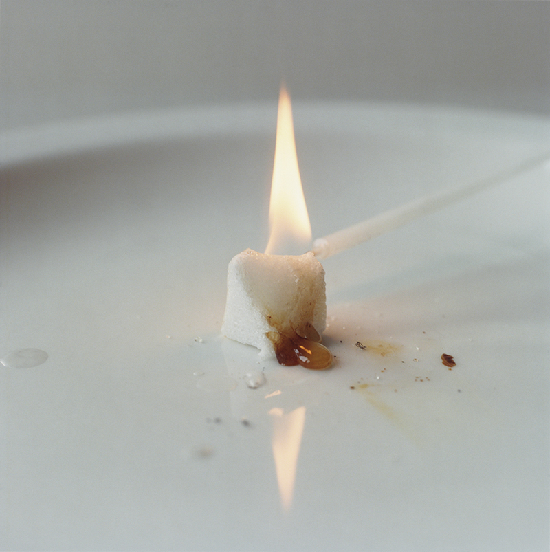 Goldblatt_Lydia_Flame