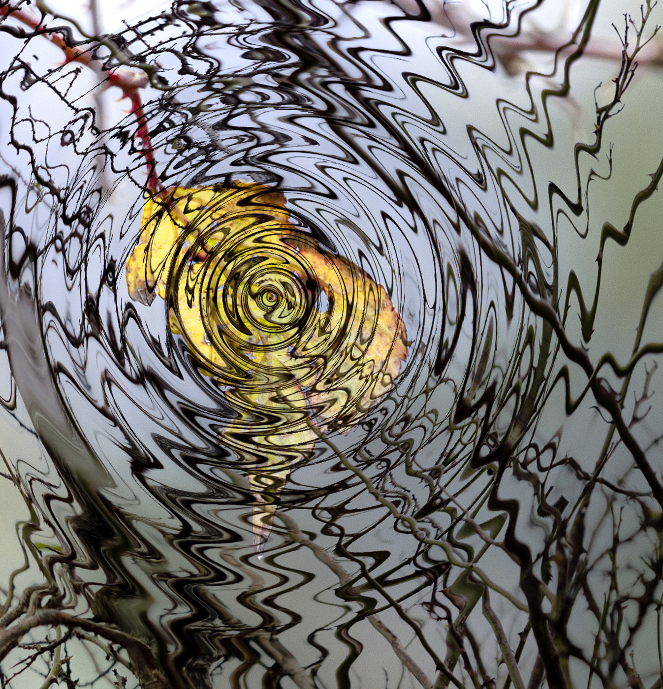 1025 Sheilajones The Watcher For Web