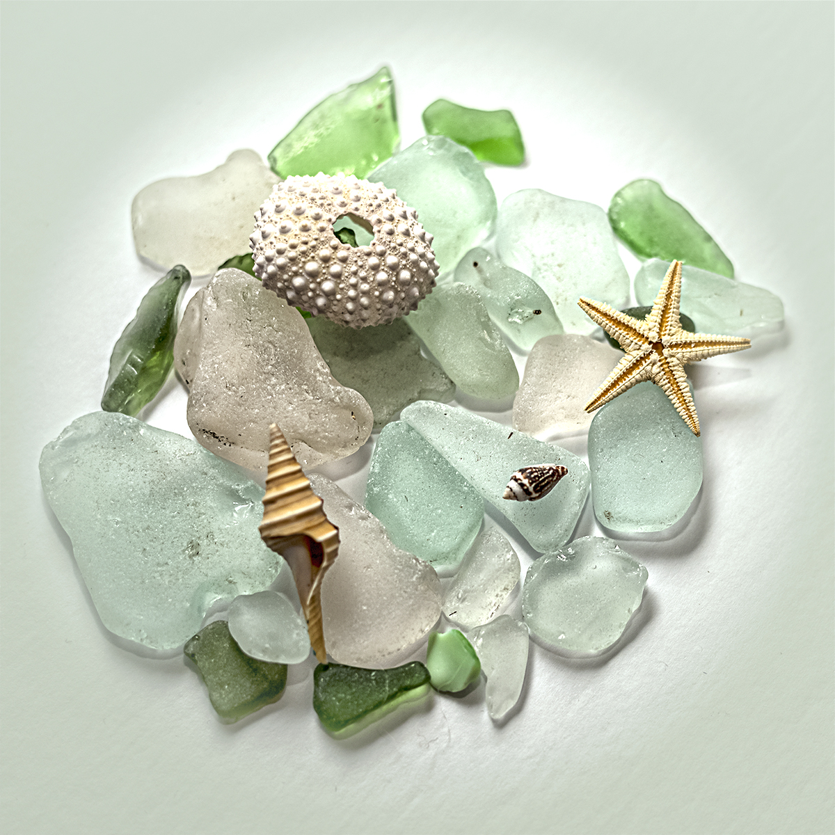 18. Sea Glass & Shells by Agnes Clark LRPS