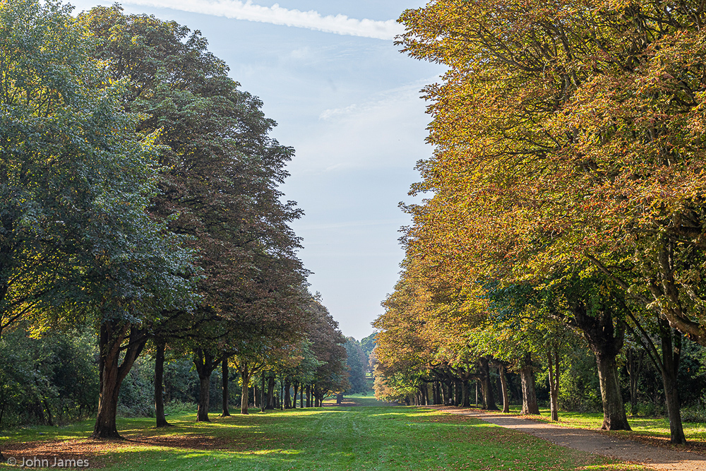 Norton Common, Letchworth, Summer John James LRPS