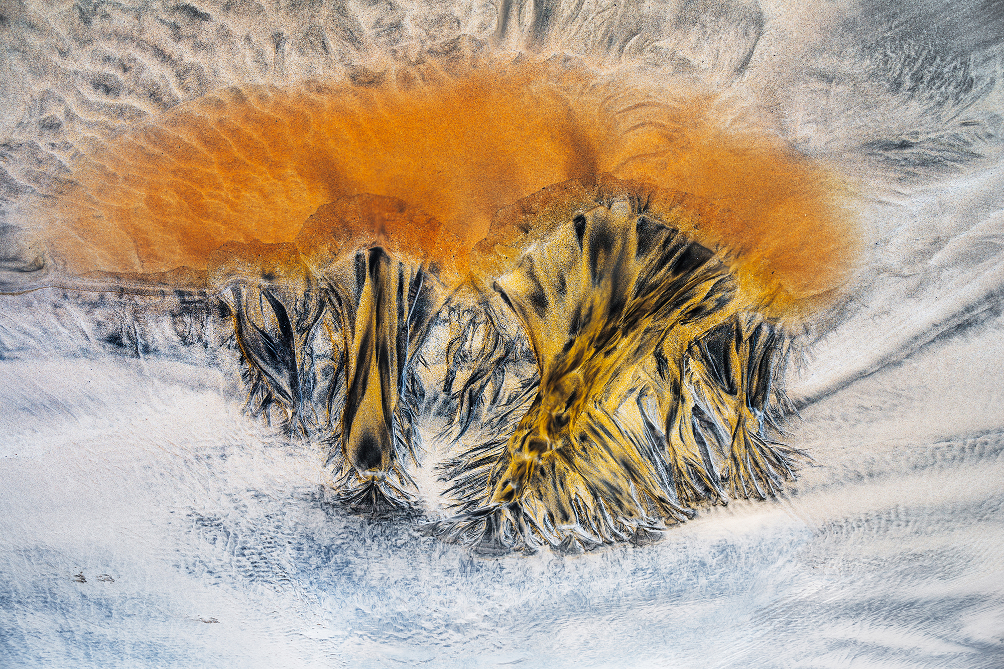 6 TPOTY 2021 Win6 Fgatto