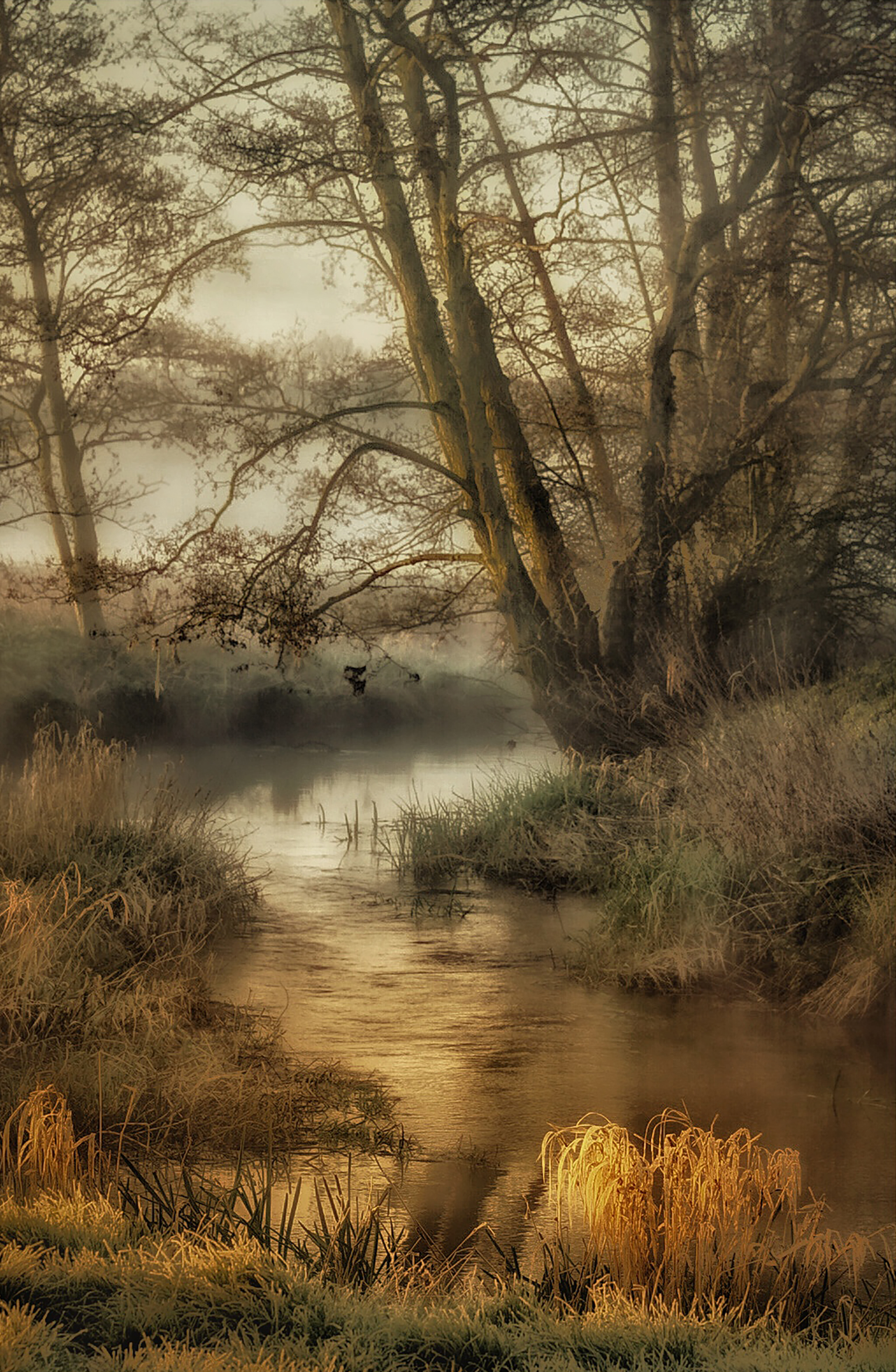 River Rib On A Misty Morning By John Mcdowall