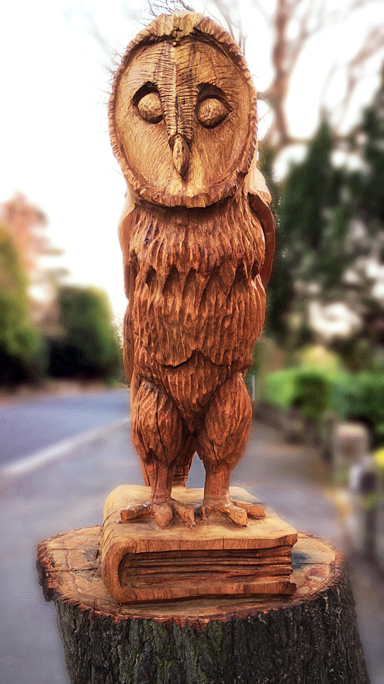 Olton Owl Carved Out Of An Old Tree Nav Kukadia