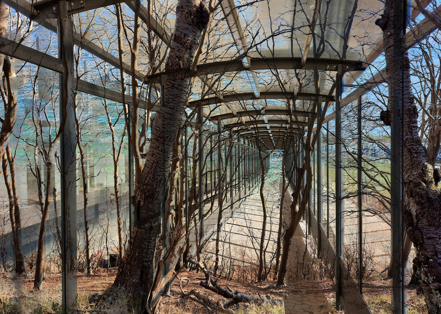 2510 Janet Turnbull Safe Passage Web