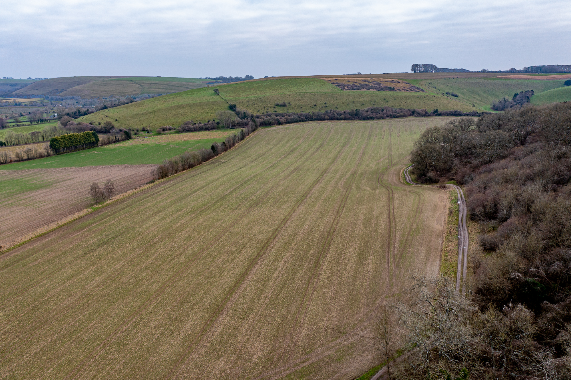 51N 2W, Wiltshire By Alastair Purcell