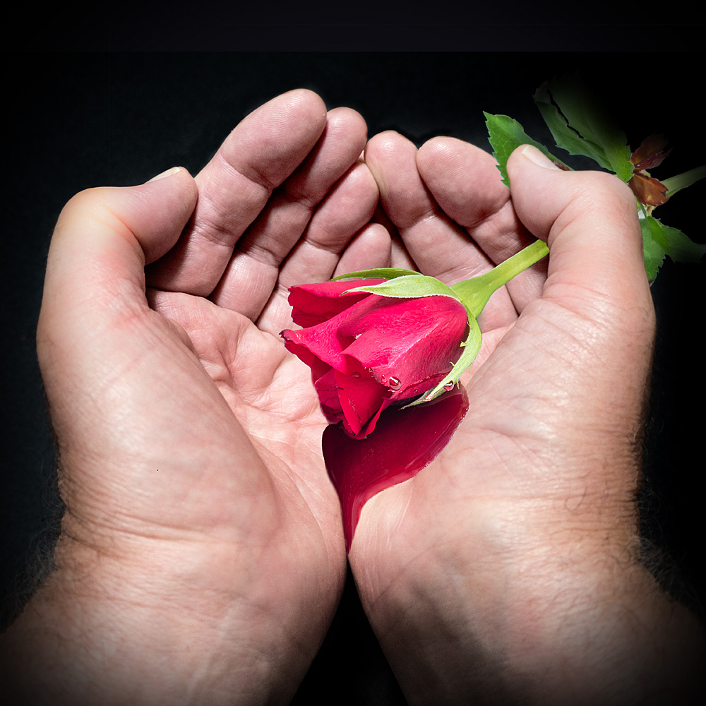 Love Lies Bleeding David Rayner