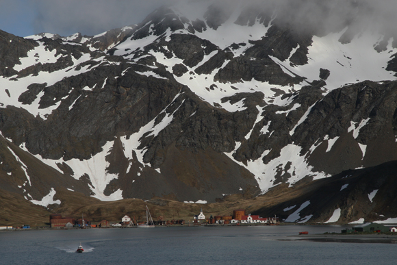 GRITVIKEN, SOUTH GEORGIA By Barbara Fleming