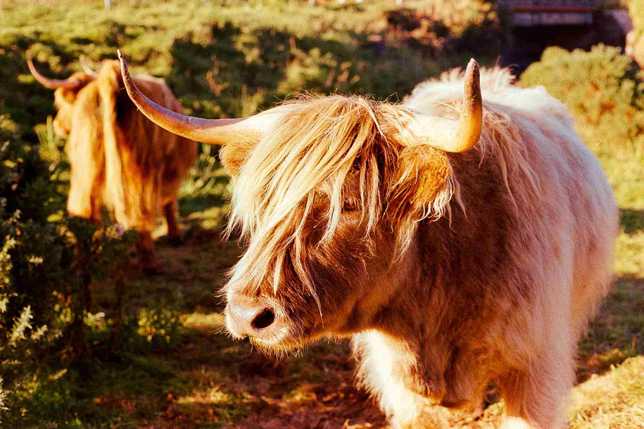 Untitled 1 Copy 150Kb