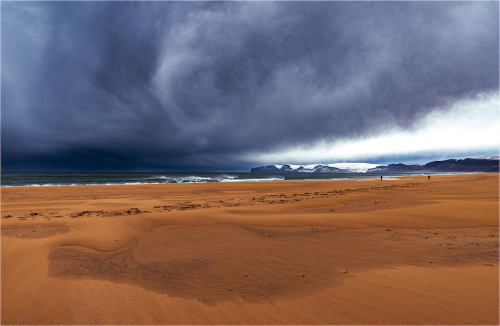 Web In The Face Of The Storm Raudisander