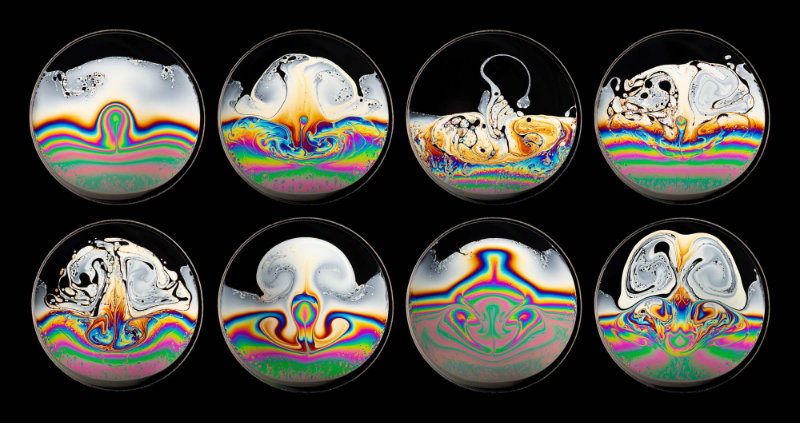 1571 Bubble Beats My Way Frank Sinatra By Kym Cox ARPS