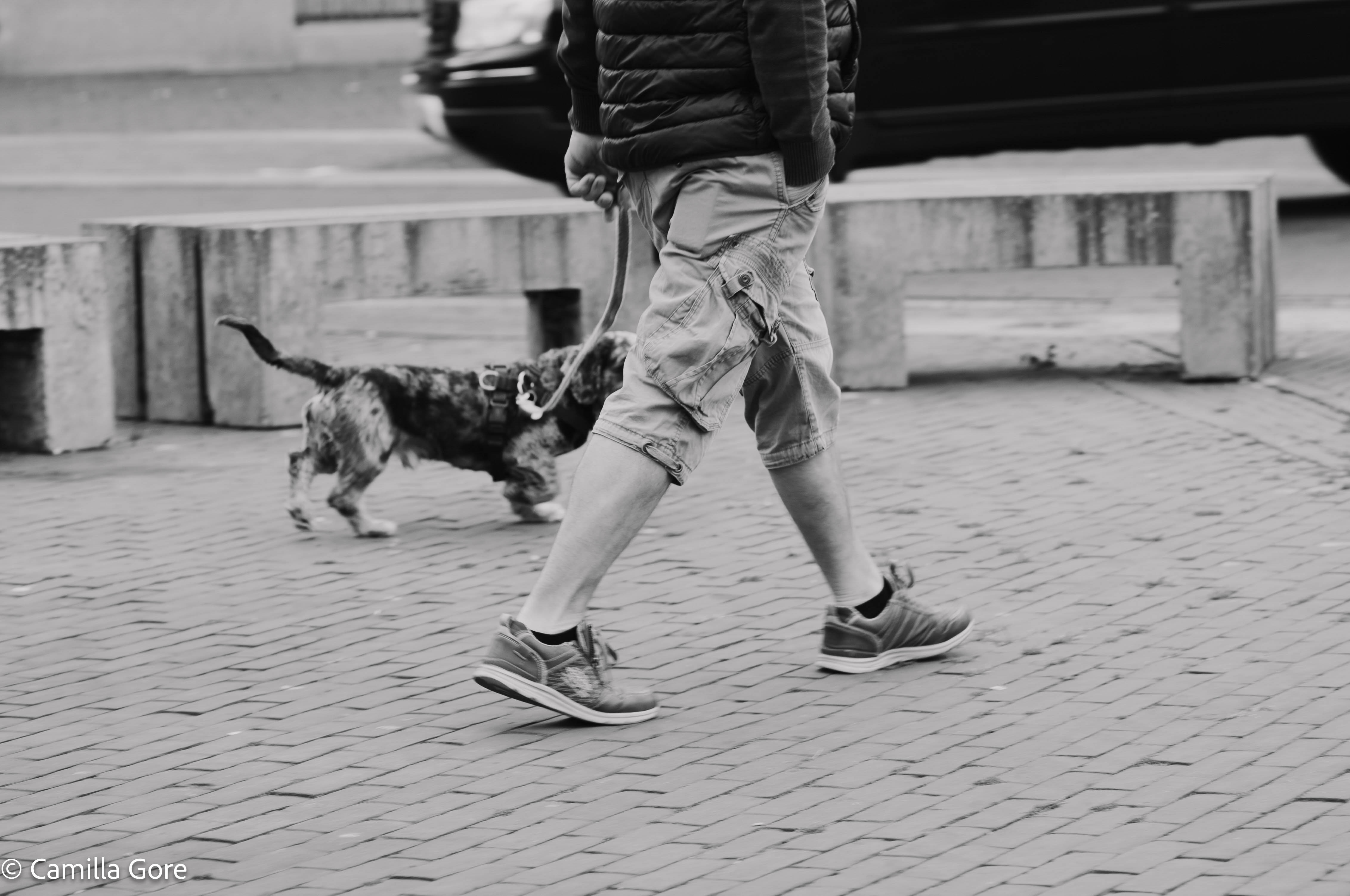 Camilla Gore Sitting In One Place 08