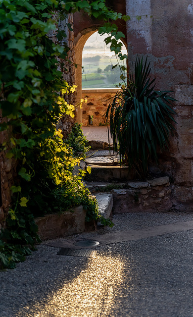 Sunrise Roussillon by John Speller