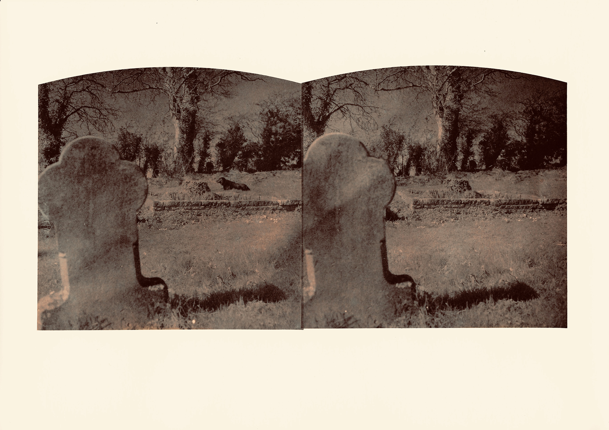 The Black Shuck. Plate 8 (NC)