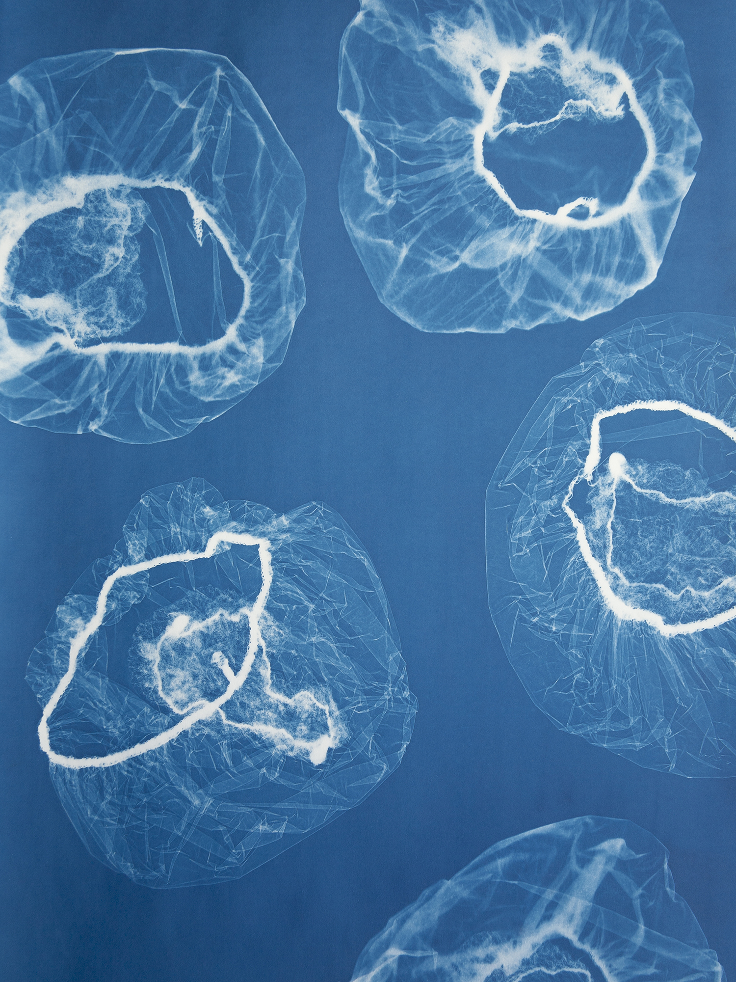 1185-1769_0_1648573420 Aindreas Scholz Member 116345