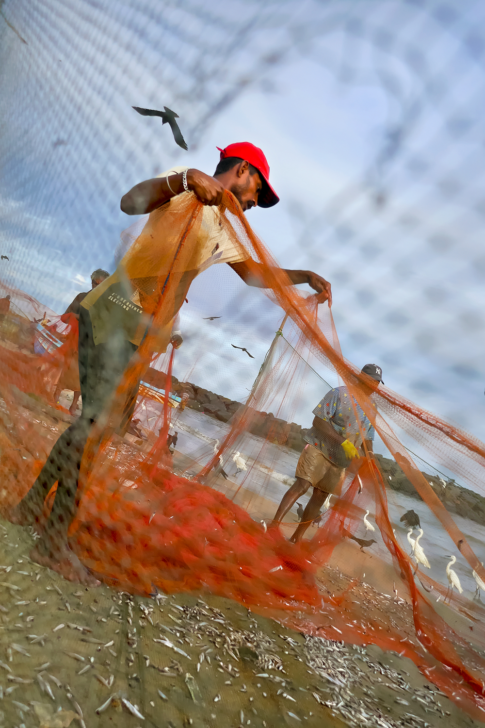 Morning Catch Negombo Sri Lanka by Rob Morgan ARPS