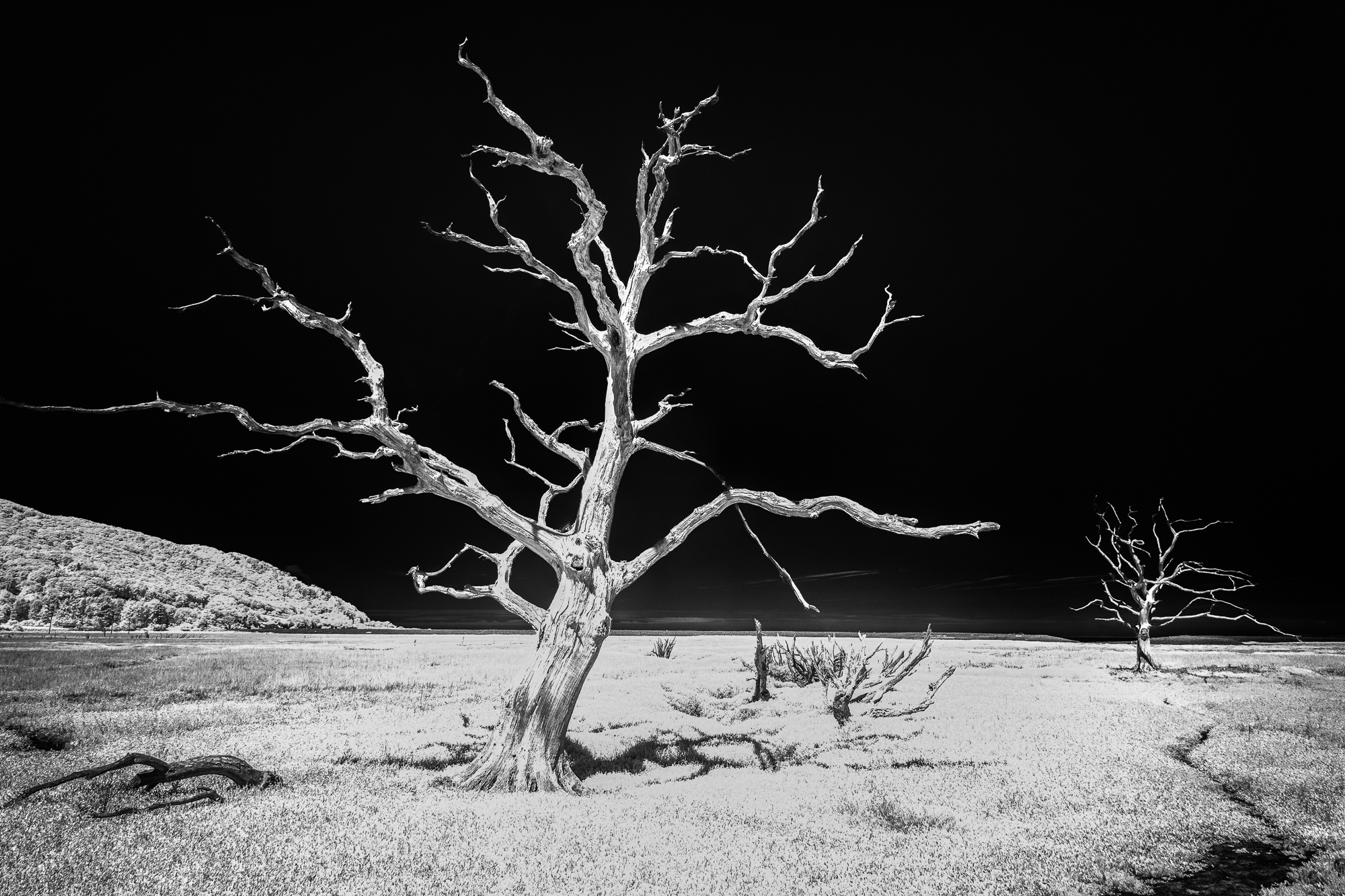 Death In Infrared Peter Hubert