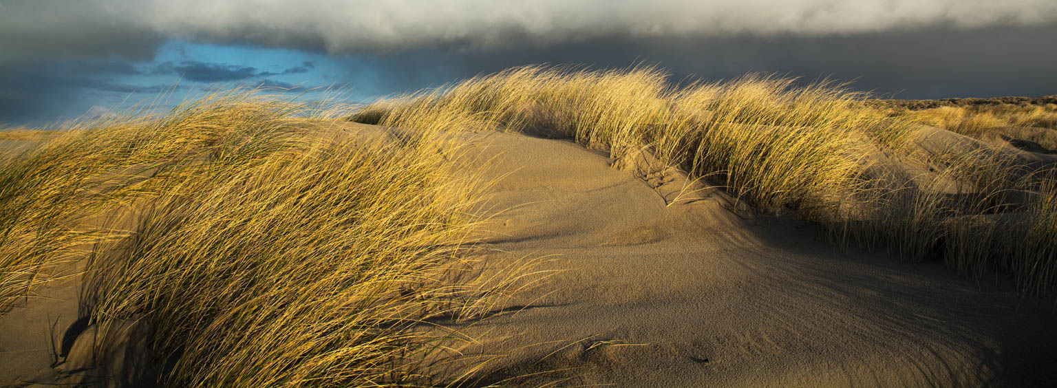 Suegoldberg LRPS 03 2