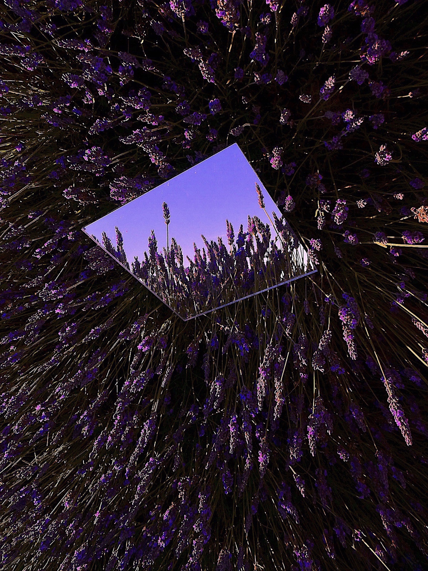 Reflective. Anila Hussain