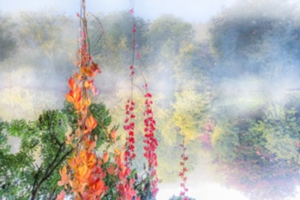 Vanda Ralevska — sample work