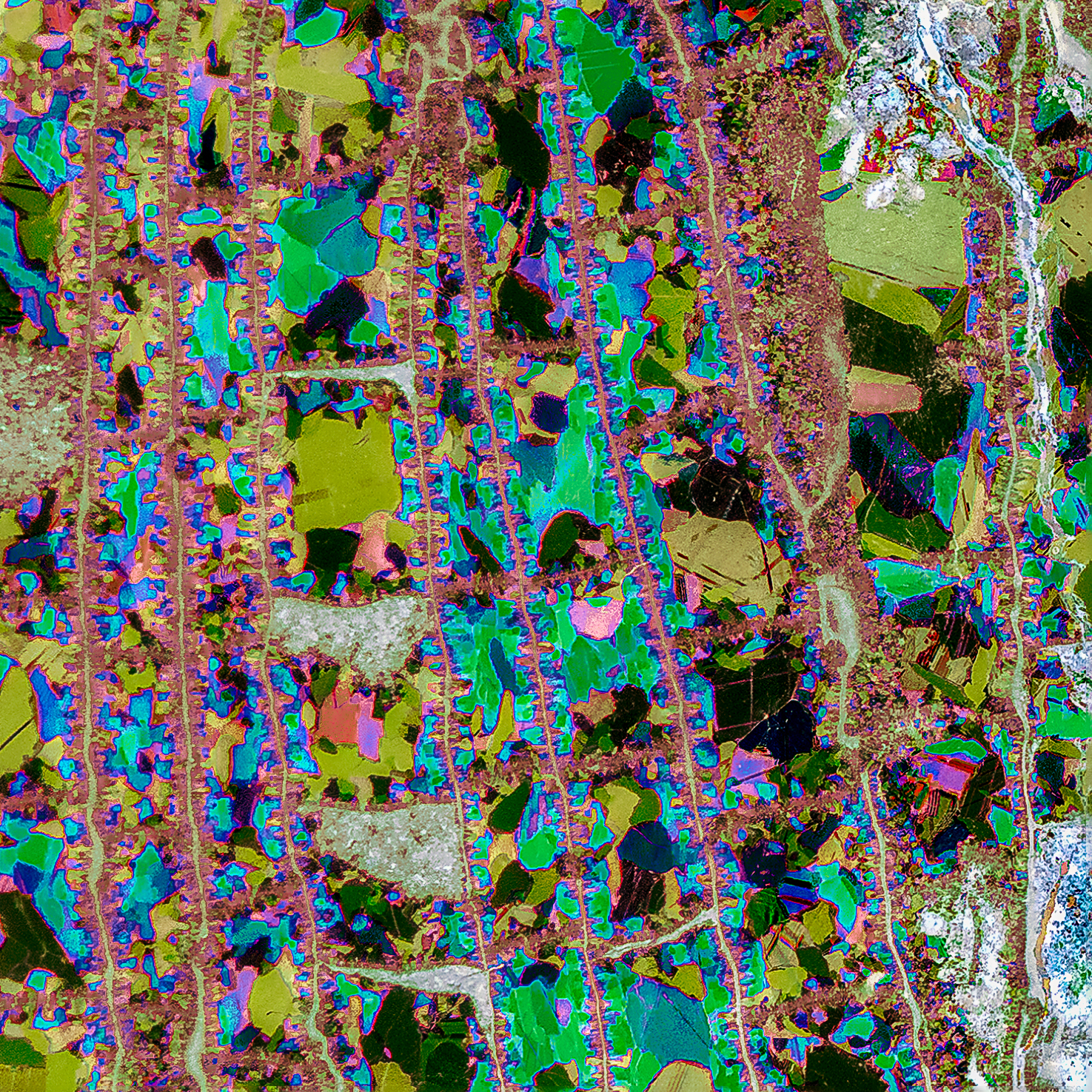 3044194 42 Shortlisted Tabulate Coral By Christine Fitzgerald