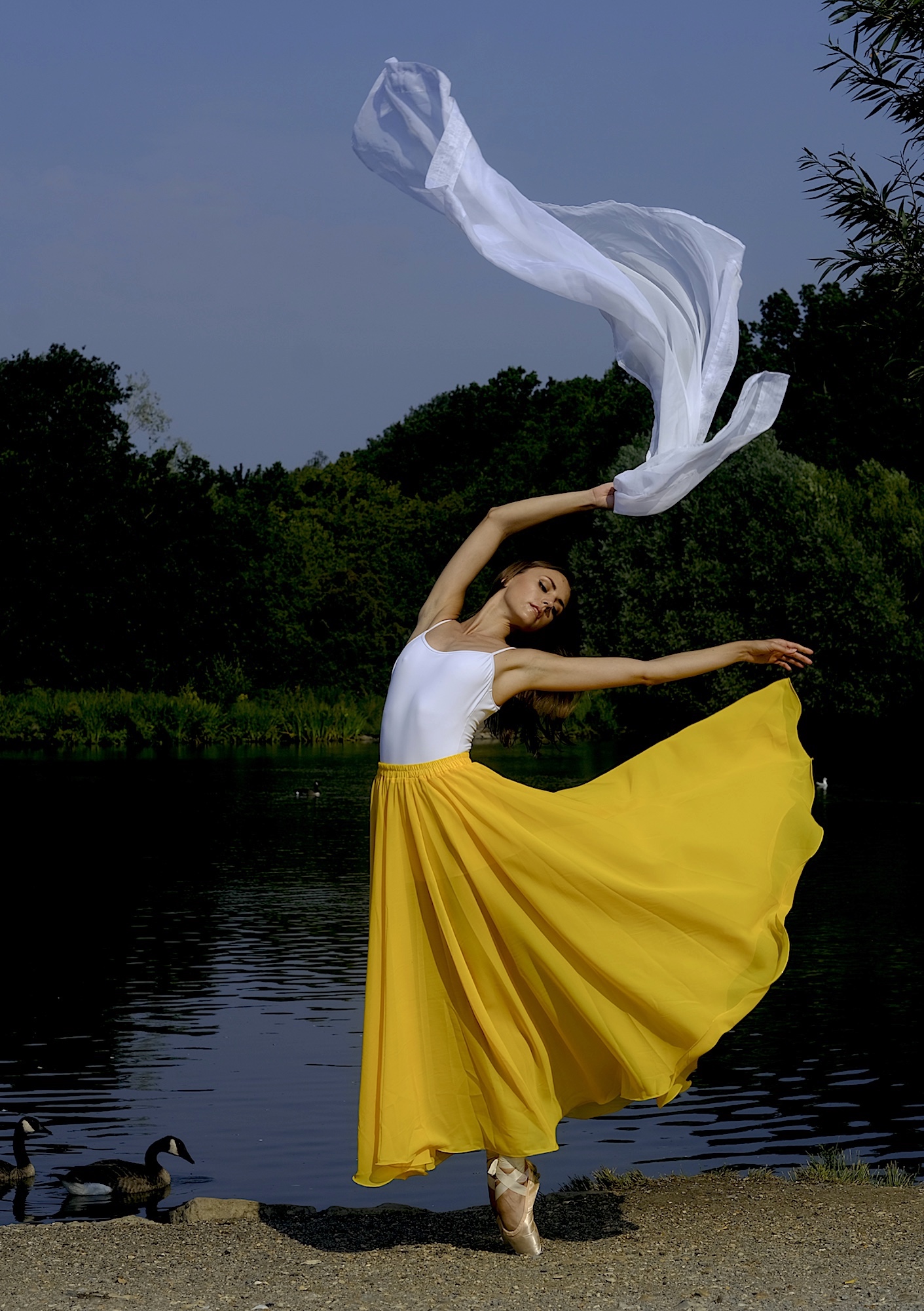 Flow by Anila Hussain