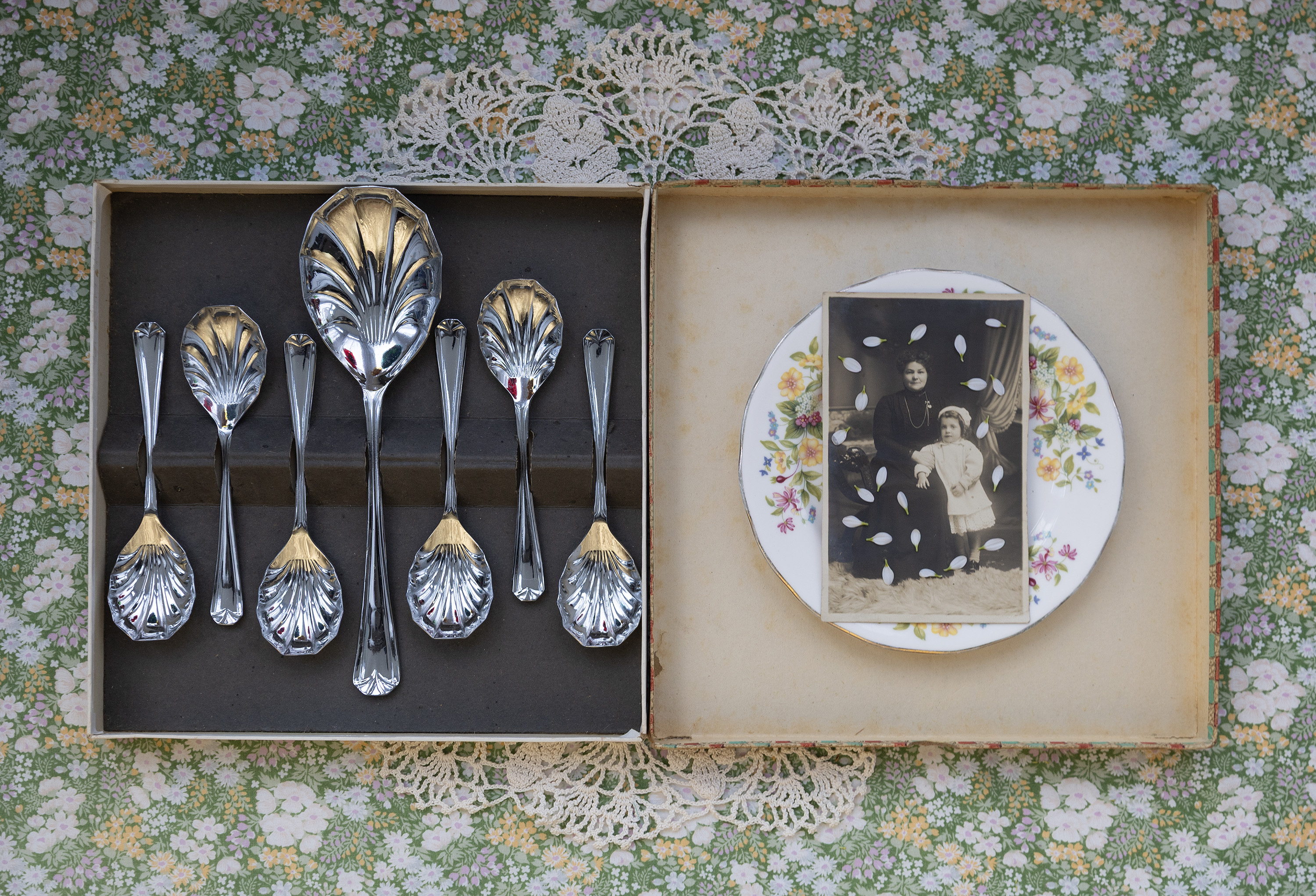 6693170 Clair Robins Waiting For Dessert