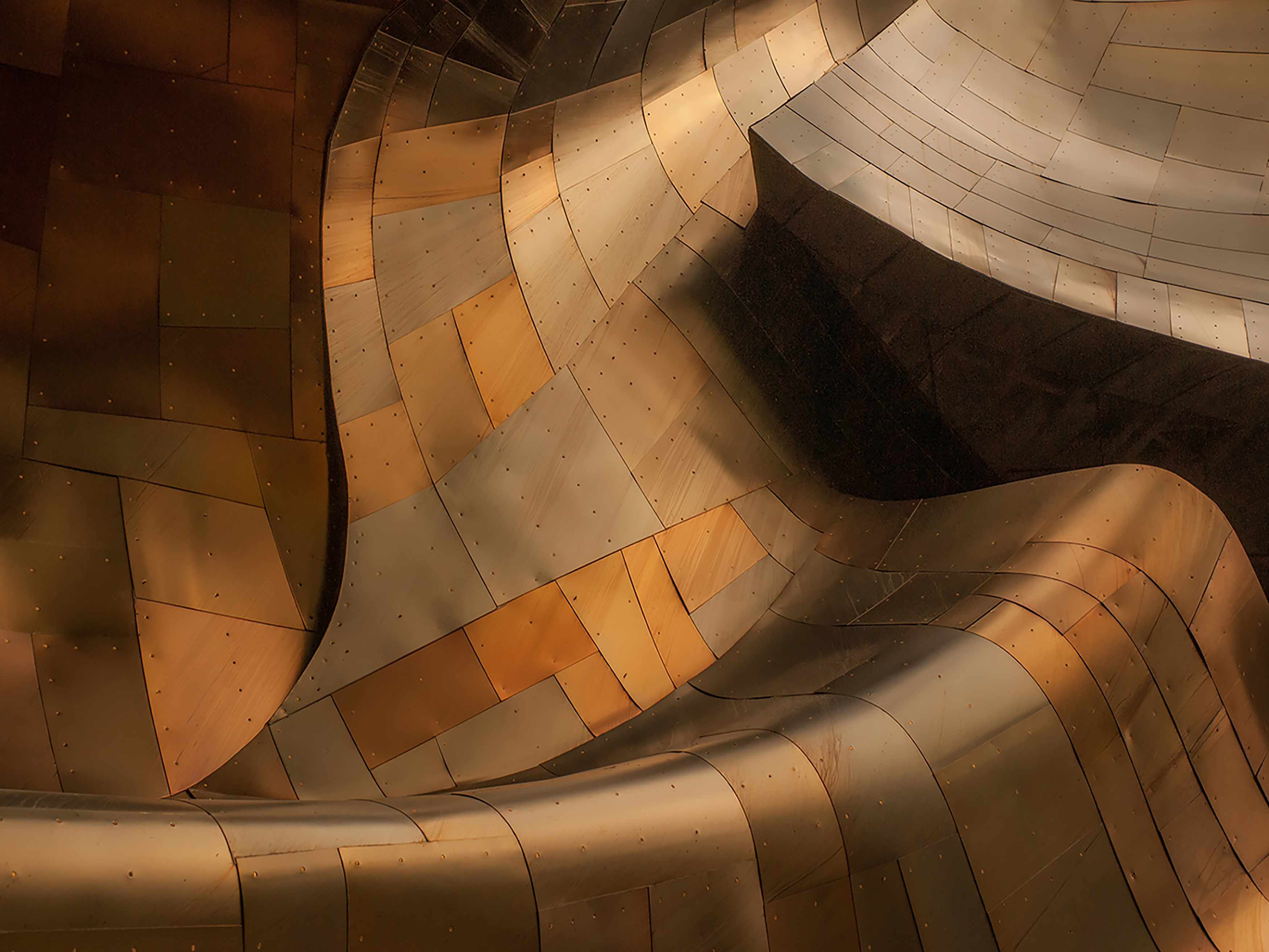 EMP - Steve Whittaker ARPS