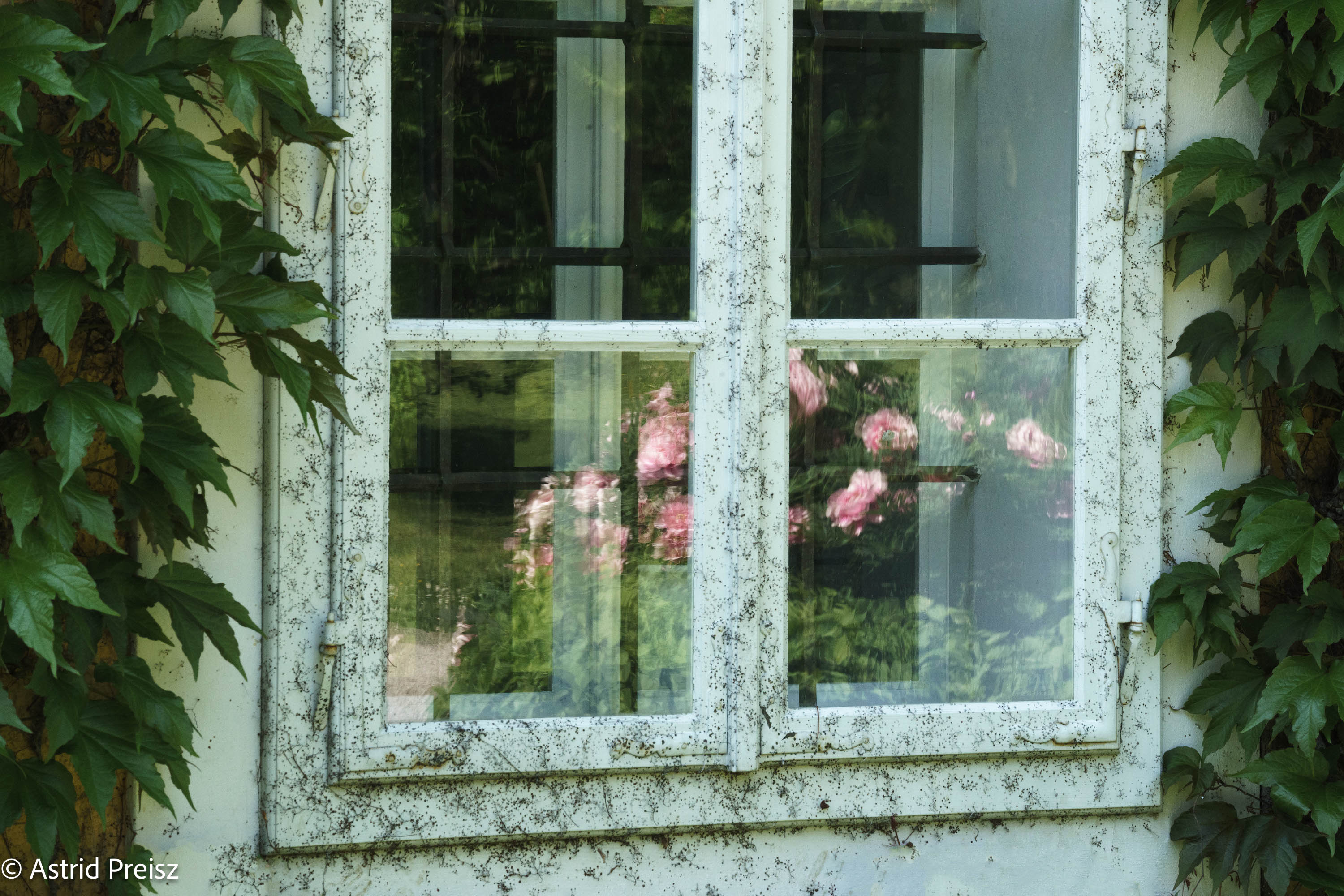 Austria Park Of Eggenberg Castle Bygone Times Astrid Preisz