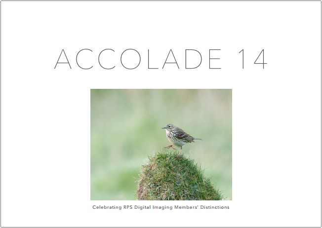 Accolade 14 Cover