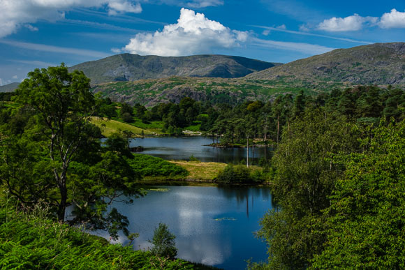 Tarn Hows, Cumbria (1 Of 1)