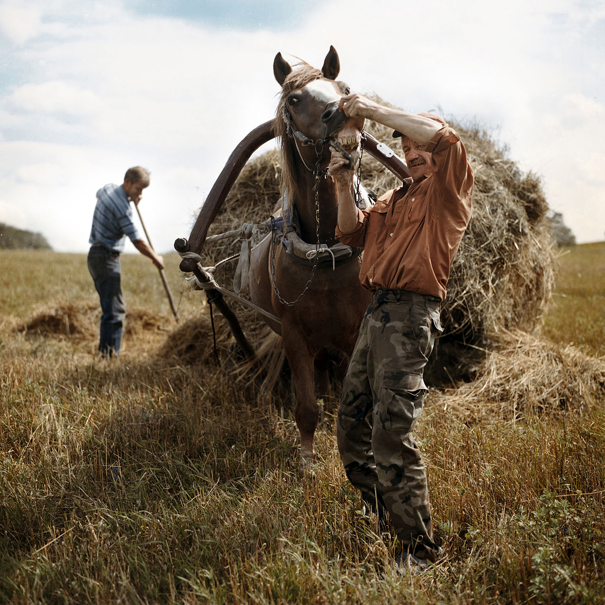 Kazakevicius_Tadas_Tolik and Dainius working in hayfield