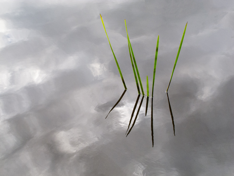 Suegoldberg Card LRPS 09