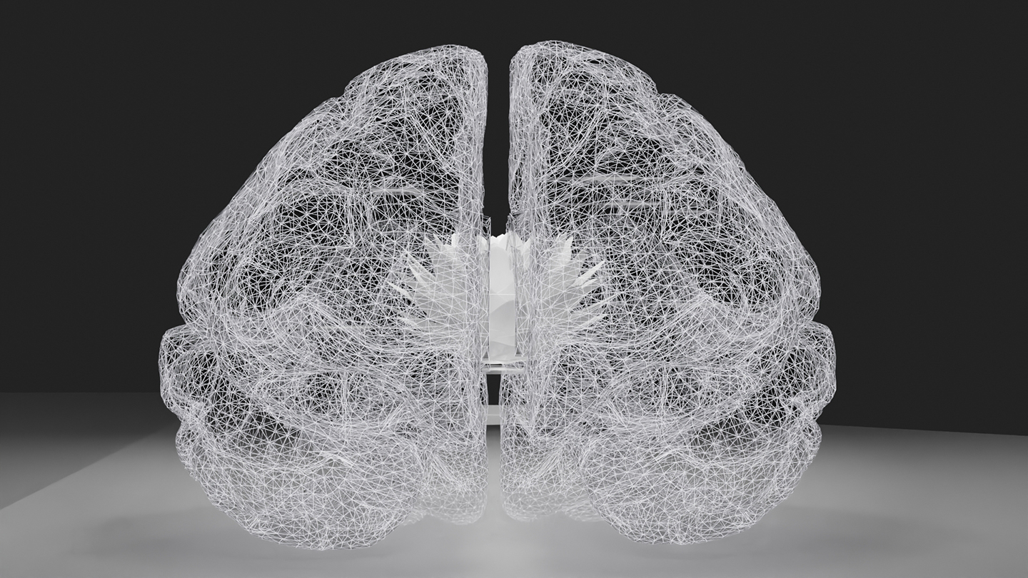 Shortlisted: Mapping The Artist Brain By Esther Villalobos