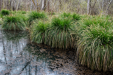 Gerry Phillipson ARPS 14
