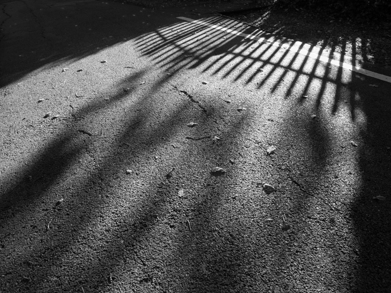 Suegoldberg Card LRPS 05