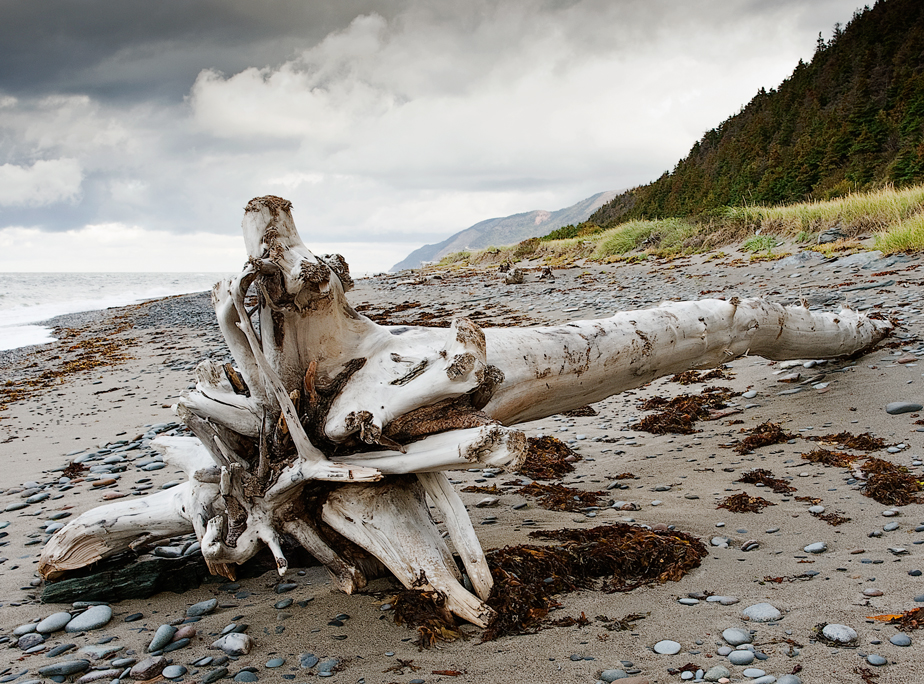 2 Driftwood