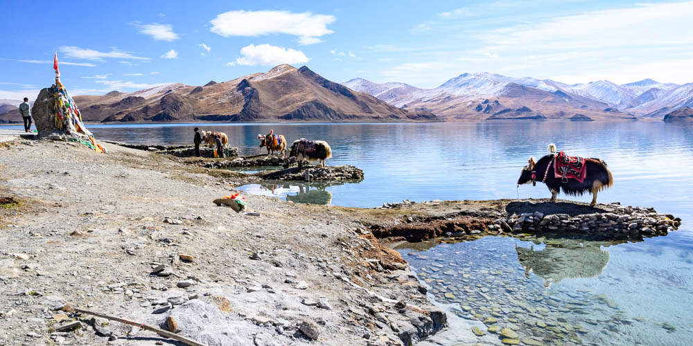 Yak Rides in Tibet