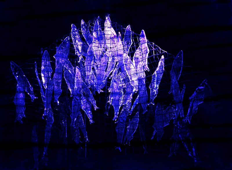 2510 Tim Walton Caught For Web