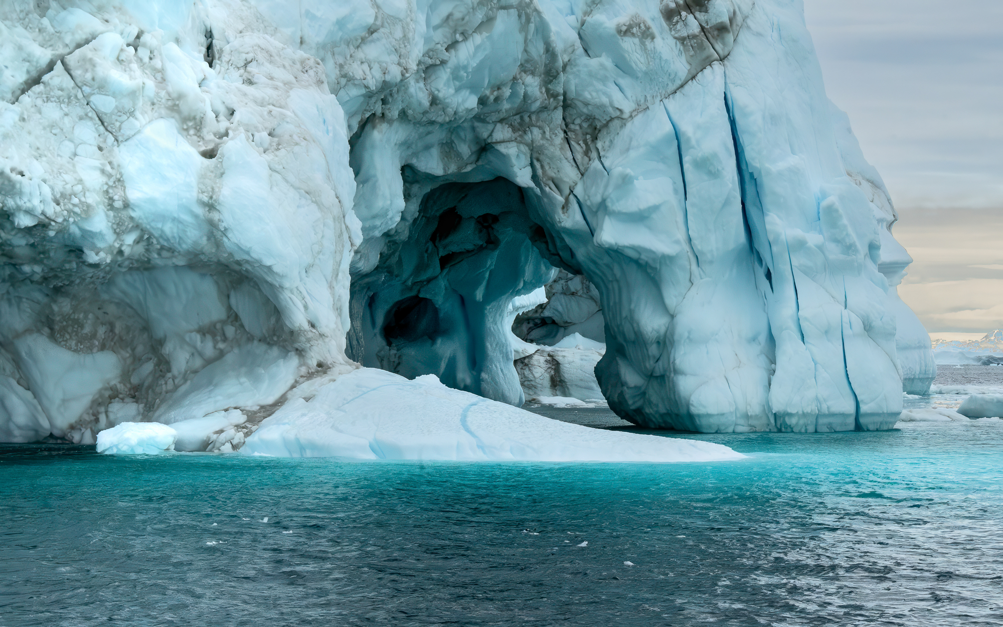 An Icy Stare Kevin Goodwin